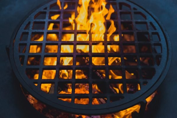 barbecue grill, close - up. professionally cooking food on an open fire on a cast-iron grate.