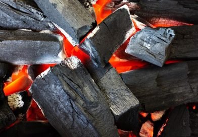 [fpdl.in]_close-up-barbecue-charcoal_716843-88_medium