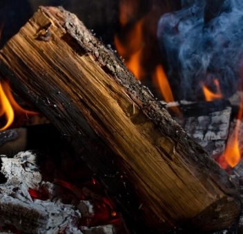 [fpdl.in]_fireplace-wood-close-up-fire_236836-17646_medium